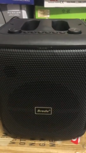 BRODU BTS-1740 [FREE USB] New Portable Bluetooth Karaoke Speaker with Dual Wireless Microphones HiFi Audio RGB Lighting Guitar Access and USB Type C