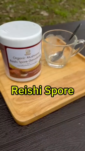 วัตถุดิบ สปอร์เห็ดหลินจือกะเทาะเปลือก 100% ออร์แกนิค ส่งตรงจากฟาร์ม (Lingzhi Reishi Spore 100% )