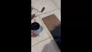 PROMO!! Cat Texture DIAMOND 1.7kg Box Hardcase