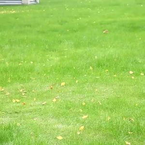 ชุดโต๊ะแคมป์ปิง เก้าอี้แคมป์ปิง โต๊ะปิคนิค เก้าอี้พับ โต๊ะพับแคมปิ้งพากพา เก้าอี้สนามพับ เก้าอี้ปิคนิค ชุดแคมป์ปิง J094