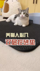 Cross-Border Hot-Selling Cat Litter Mat – Extra Large Double-Layer EVA Pet Litter Box Mat Anti-Tracking keep the floor clean from litter around  the litter box， sand control filter