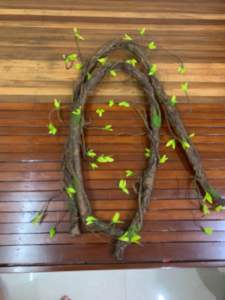 Cây trang trí Thân cổ mộc trang trí dài 1m8