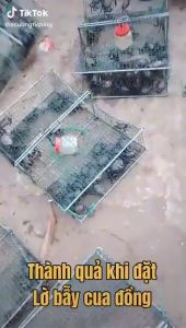 [TẶNG MỒI] Lồng Bẫy Cua - Dập Bẫy Cua Ghẹ Biển Hàng Loại 1 Chất Lượng Siêu Bền