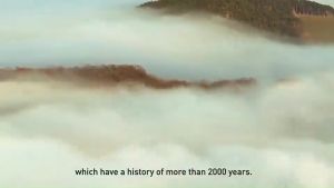 【Buy 1 take 4】100% EFFECTIVE Sleep Patch Anxiety Essential Oil Relieve Headache Stress Plaster Improve Insomnia Quality Sleep Patch Relieve Anxiety Stress Headache Sticker Improve Insomnia Sleep Quality Plaster Sleep Patch