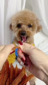 Jerky Ayam untuk Anjing dan Kucing - Snack Pet   kucing biskut