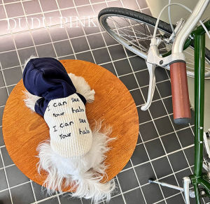 Thickened Fleece Dog Sweater Autumn Winter Warm Pet Clothes Cat Hooded Heat Trapping Velvet Pet Hoodie for Yorkie