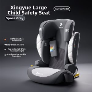 bebelock | Heating Portable Child Safety Booster Car Seat