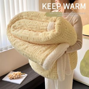 Double Layer Thicker Winter Throw Blanket for Office and Kids Naps Double Sided Sherpa
