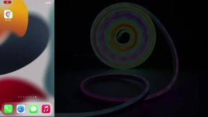 5V Dream Color RGBIC Neon LED Strip USB Powered Bluetooth APP Music Sync Rope Light for Party Christmas Bedroom Ambient Lamp