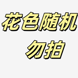Nệm Gối KT Cat Dễ Thương Nệm Chăn Dày Bằng Vải Nỉ Bắc Cực Dùng Cho Văn Phòng Siêu Thực Tế Đồ Dùng Làm Việc Cho Người Lái Xe