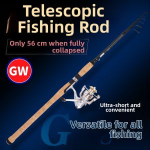 GW | Ultra-light Carbon Telescopic Rod