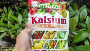 Pupuk Kalsium Asam Amino ORIHARA 1 KG Mesh 4600 Lebih Halus Dari Manohara