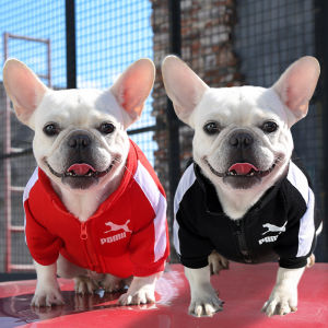 Pet clothes autumn and winter warm tide brand sweater letter fight than bear dog cat small medium and large dog supplies