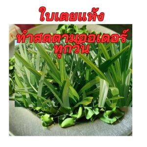 ใบเตย หอม แห้ง สำหรับ ทำชา อาหาร สมุนไพร ทำ สด ตาม ออเดอร์ เพื่อ คง ความหอม