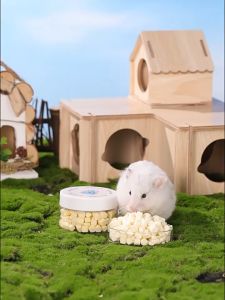 Cheese Cube dành cho thú nhỏ (hamster sóc nhím ....) - T3 PETS SHOP