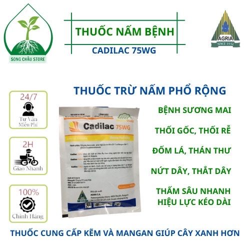 Thuốc CAIDILAC 75WG gói 100gr phòng trừ nấm bệnh phổ rộng | Lazada.vn