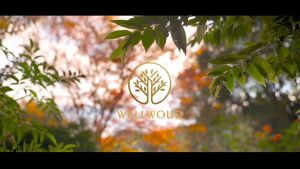 【WELLWOUD DUSK FOR ANTI-INFLAMMATORY】PREMIUM AGARWOOD ESSENTIAL OIL BLEND | 100% PURE NATURAL | 纯天然檀香精油