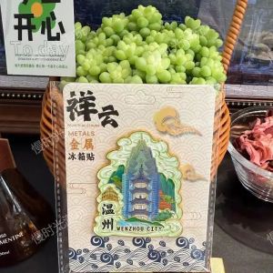 Magnezie Thẻ Kẹp Tấm Lạnh Hình Con Ngựa 5 Con 3D Thẻ Kẹp Tấm Lạnh Nghệ Thuật Tạo Hình Thẻ Kẹp Tấm Lạnh Độc Đáo Đồ Sáng Tạo Đồ Sưu Tập Đồ Sưu Tập