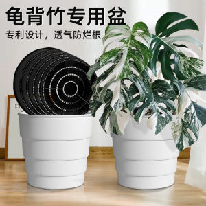 Meizhong Monstera Deliciosa Special Large Flower Pot Hot Planting Root-Controlling Breathable Resin Plastic Qingshan Activated Earth Training Keep Landing