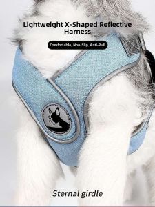 VOA | Adjustable X-Back Dog Leash
