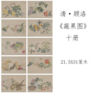 Qing Gu Luo Vegetable and Fruit Album Private Collection Ancient Flowers and Birds Famous Works Authentic Copy Copy Draft Template Decorative Painting