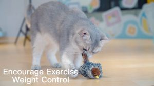 GiGwi Melody Chaser - Đồ chơi bông phát tiếng kêu cho mèo vờn rượt - Đen Ta pet shop