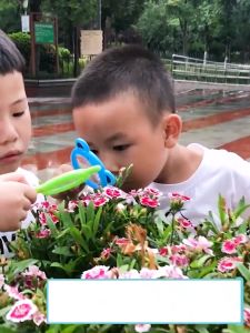 Little Scientist Magnifying Glasses HD Insect Viewer Tools for Kids Observation放大镜 Kaca Pembesar 玩具 Toy Mainan