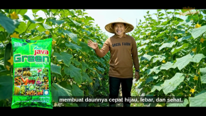 Java Green 1 Kg Pupuk Mikro Daun