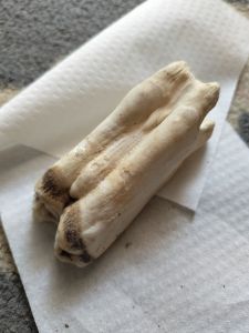 Koleksi artefak g1g1 warak asli