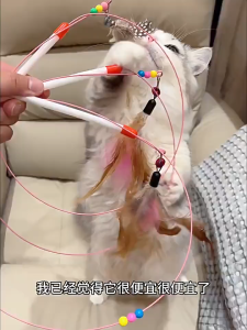 Cat Teaser ไม้ล่อแมว ไม้ตกแมวแบบขนนก ขนนกธรรมชาติ ไว้ล่อแมว คลาดเครียดคลายเหงา สปริงขนนก ขอเล่นแมว ของเล่นเเมว มีกระดิ่งไม้แหย่แมว ของเล่นแมว สําหรับแมว