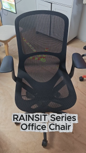 Flexidesignx RAINSIT Series Office Chair Colorful Modern Wide Adjustable Armrest Hidden Mechanism in Green Grey Red Black Blue for Home Office Use