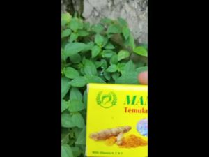 (Bayar Ditempat) Mamaya Sabun Temulawak 85 gr - Sabun Kecantika Alami