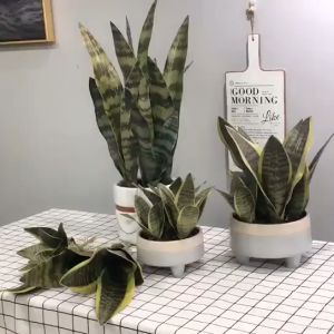 41Cm Tanaman Hias Sensivera 4 Daun Lidah Mertua Latex Artificial Plastik Snake Plant Daun