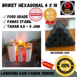 Briket Arang Barbeque Hexagonal 4x10 (10kg)
