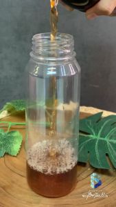 (ECERAN 10 PCS) Botol KALE 250 ml Botol Plastik KALE 250ml Botol Minuman Botol Jus Free Bubble Wrap