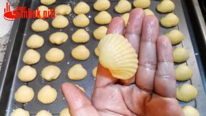 Cetakan Nastar Bentuk Kerang & SinLian kode 182