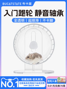 Ultra Quiet 18cm Running Wheel for Hamsters And Golden Retriever Toys Scenery Decoration Pet Supplies Hamster Exercise Ball