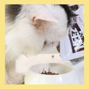 【1kg】อาหารแมว Neez+ ครบทุกสูตร (รับประกันแท้ 100%)