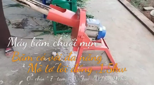 Máy chuyên dùng băm nhỏ cây chuối cỏ voi thân cây ngô . sử dụng động cơ 15kw 100% lõi đồng