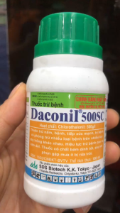 Thuốc trừ bệnh Nhật Bản DACONIL 75WP -100ML - (MSP118937) -Mai Huy -Trị vàng rụng lá thán thư dạng phổ rộng trị bên ngoài trị vào.