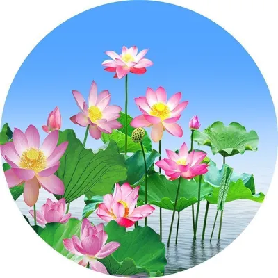Circular Lotus Flower Design Living Room Decorative Feng Shui Painting Red Sun No Frame Embroidery Artwork Chinese Style