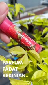 Parfum Pewangi Tubuh Padat Bentuk Lipstik Wangi Segar Alami Aroma Tahan Lama