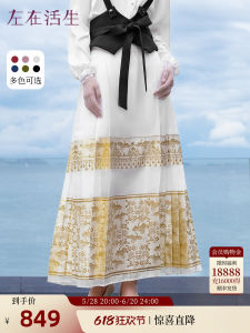 New Chinese Retro Gold Woven Brocade Spring Summer Womens Mamian Skirt