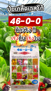 ปุ๋ยเกล็ดเวสโก้ 46-0-0 ขนาด 1Kg เมก้าลีฟ-เอ็น เพิ่มความสมบูรณ์ของลำต้น และใบ