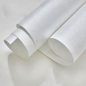 DuPont Kite Paper for Disk Eagle DIY Kite Making Material Professional Kite Flying Sport Utility Unbranded Fitness Goods