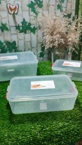 Hộp Nhựa Chữ Nhật Thấp Trong Suốt 700/1400/2800ml Hiệp Thành Hộp Nhựa Đựng Thực Phẩm PP An Toàn