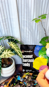 Mr.Squirrel 360 pcs Sugar Free Coconut Charcoal Mint Candy For Fresh Breath Mixed Fruit Mint Candies 100g/bag