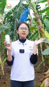 (Combo 3 chai Bigsky)-(Tặng 1Bigsky)-Kinh Bắc-Đặc trị thán thư sương mai vàng lá ghẻ sẹo thối rễ và nhiều loại nấm khác bảo vệ cây trồng