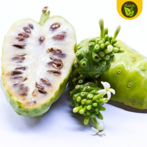 binhi pantanim 10 seeds for planting Morinda citrifolia Indian mulberry noni fruit beach mulberry cheese fruit