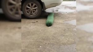 Heavy Duty Flood Sandbags Reusable Canvas Flood Control Sandbags Large Capacity Water Barriers Home Flood Garage Flood